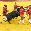 bullfighting,brigitte bardot,